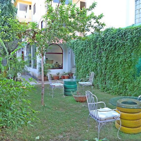 Hotel Tree Of Heaven Udajpur Zewnętrze zdjęcie